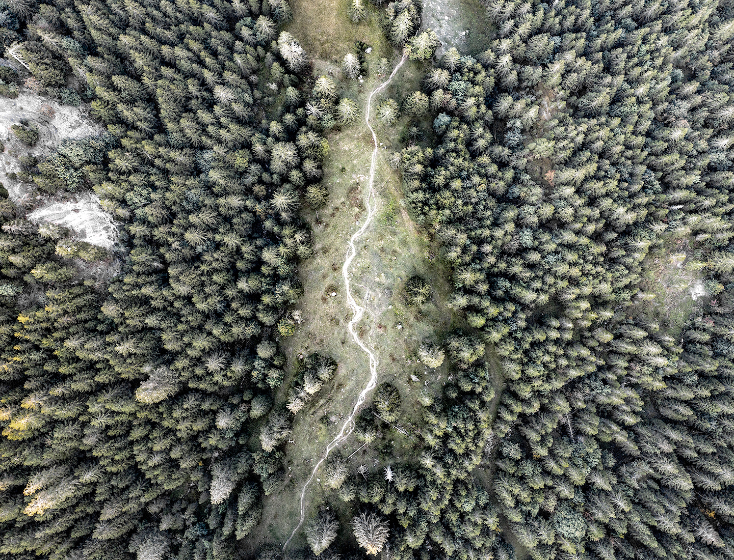 Climate and environment