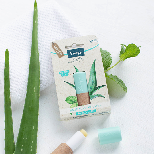 Kneipp Water Mint Aloe Vera Lip Care showcased with packaging, aloe leaf, mint leaf, and textured towel, emphasizing a fresh, moisturizing experience.