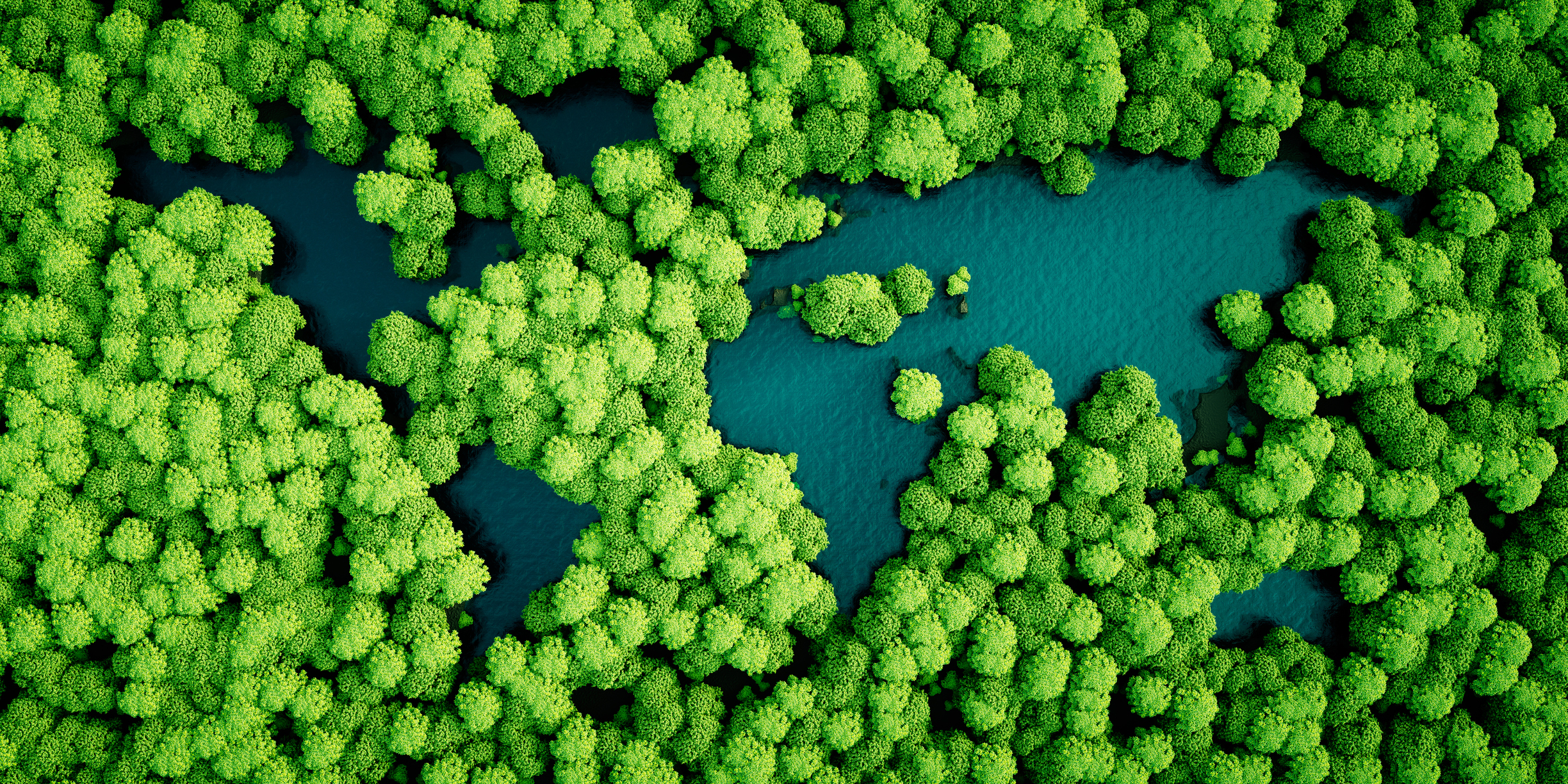 World Environment Day on 5.6.2024